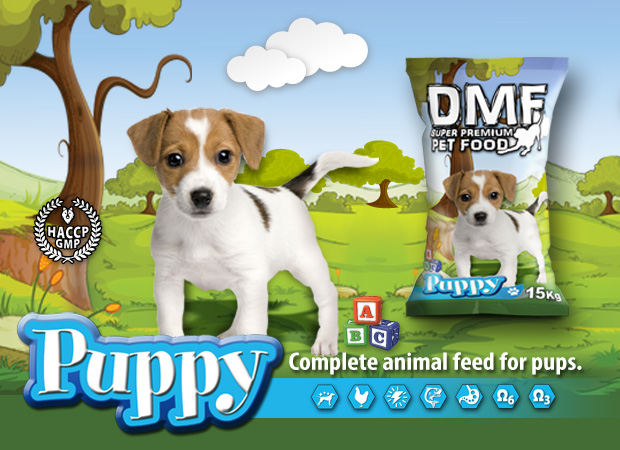 PUPPY DMF PET FOOD