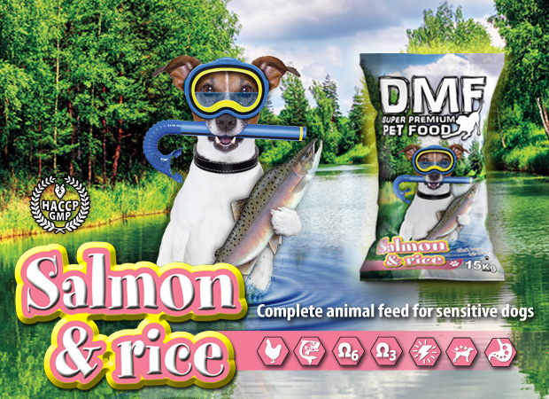Salmon and Rice DMF